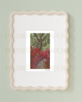 Azalea Path | Oil Pastel Fine Art Print