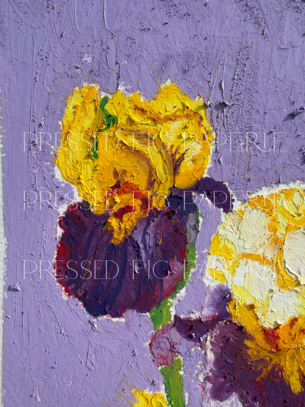 Hidden Courage | Fine Art Oil Pastel Painting | Adenomyosis Awareness