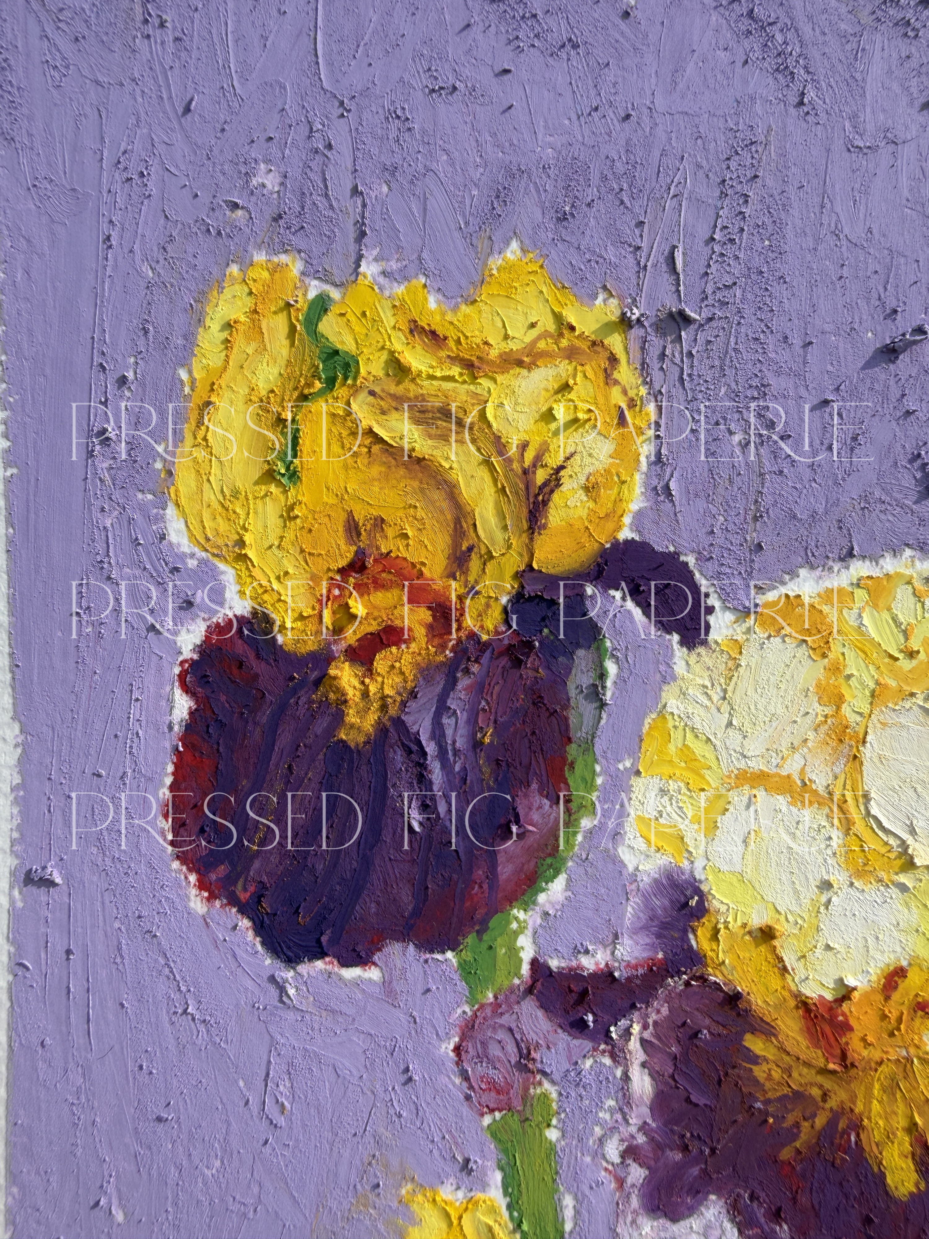 Hidden Courage | Fine Art Oil Pastel Painting | Adenomyosis Awareness