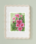Pink Cosmos | Mixed Media Fine Art Print
